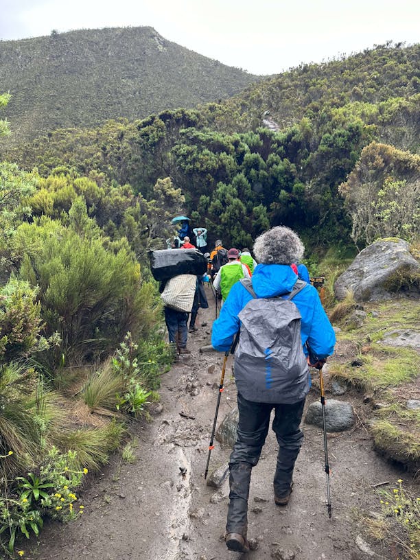 https___e2e9da874054ada47ec05102aaf8dadb.cdn_.bubble.io_f1693961128154x279874691081142720_3A6D13EF-3A99-4276-BB4B-47369DCBEB9A