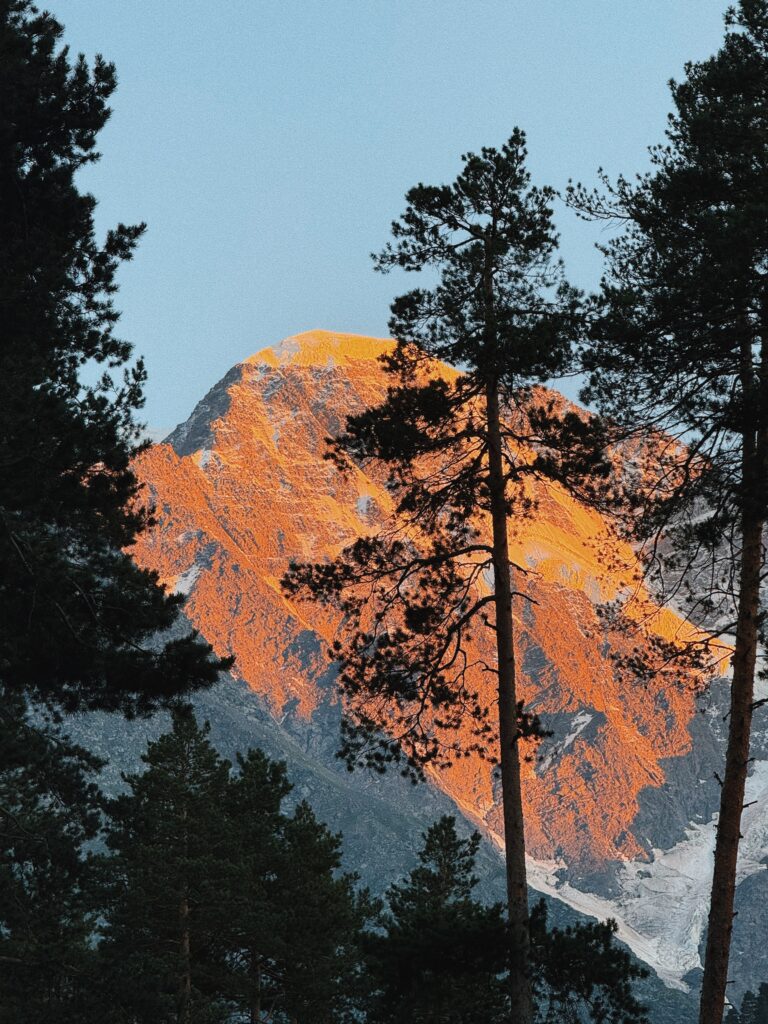 Processed with VSCO with c7 preset