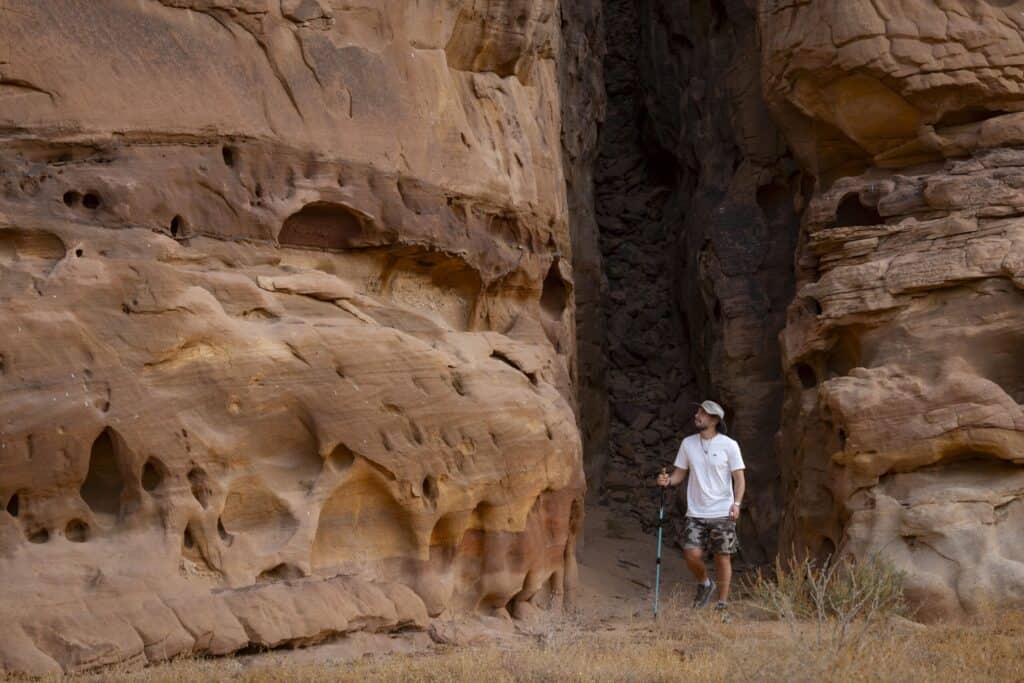 Sharaan Safari:  A Journey  Through  AlUla’s  Untamed  Beauty