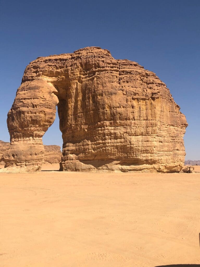 نسخة من IMG_0013