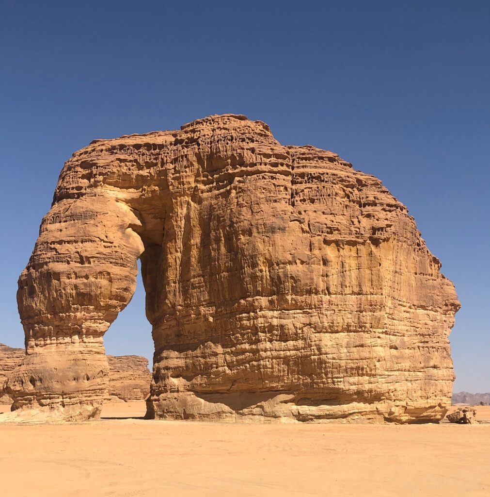 نسخة من IMG_0013