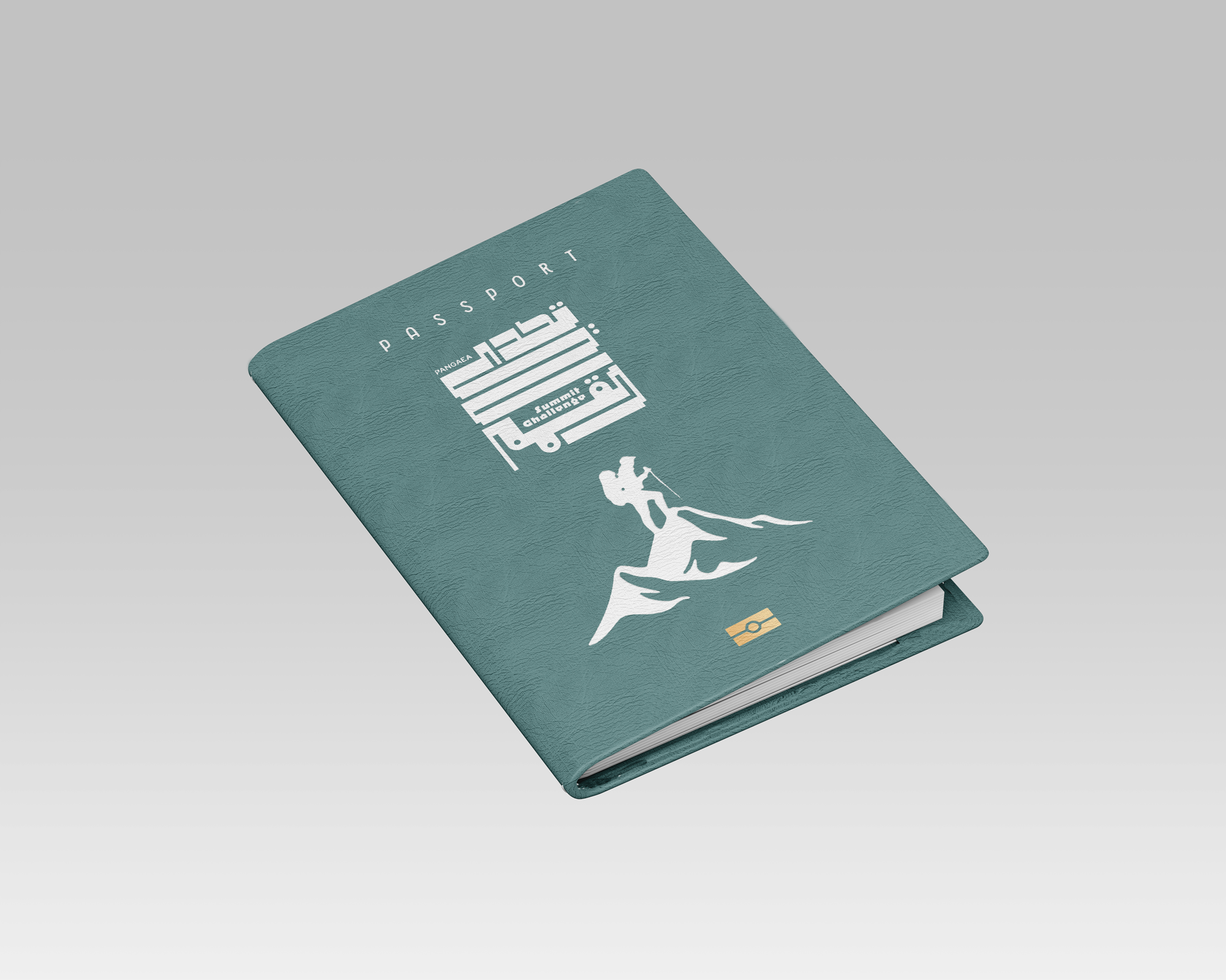 Passport Stamps