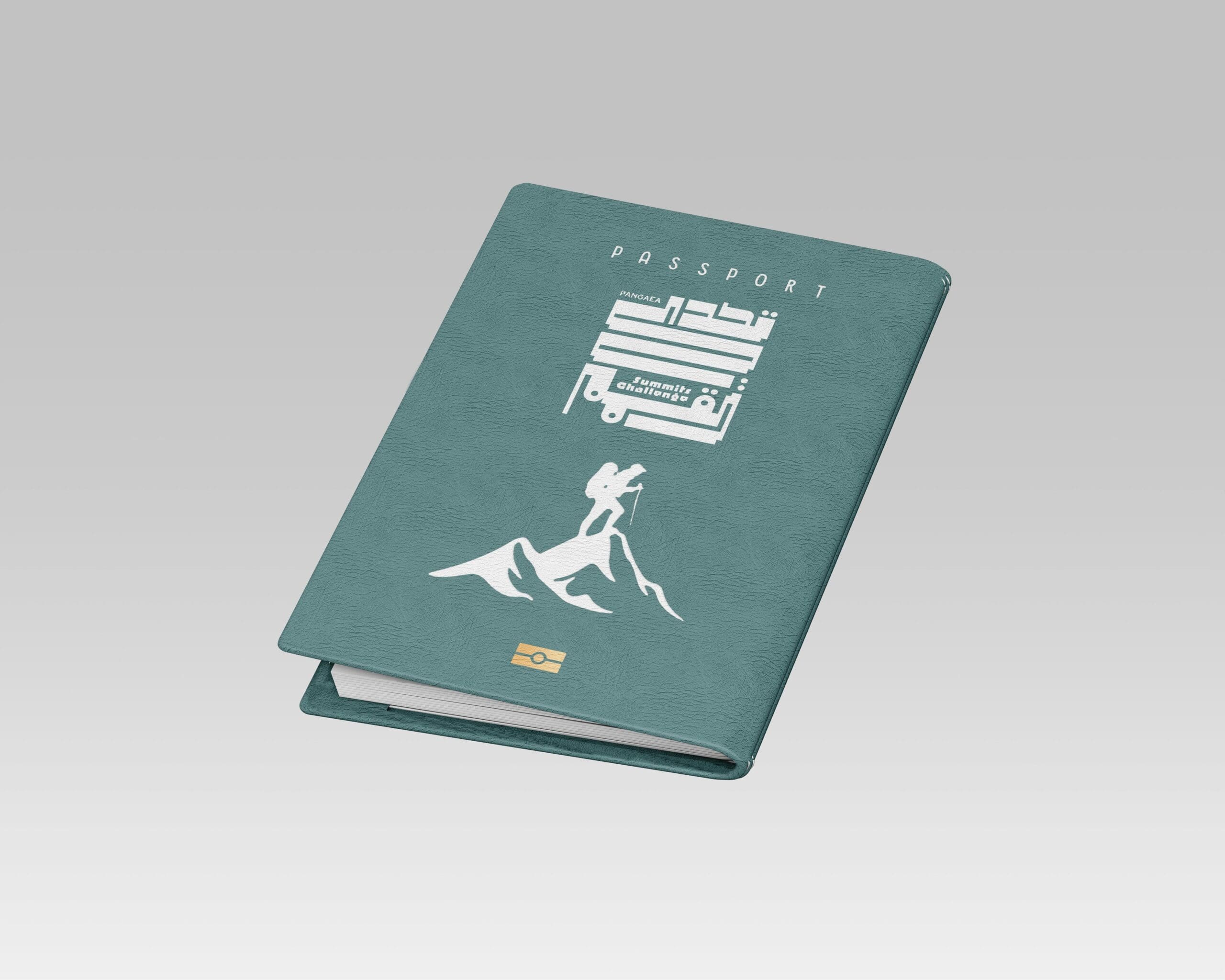 Passport Stamps