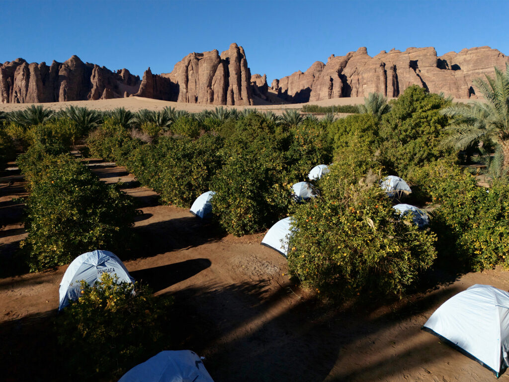 Untitled design – 1