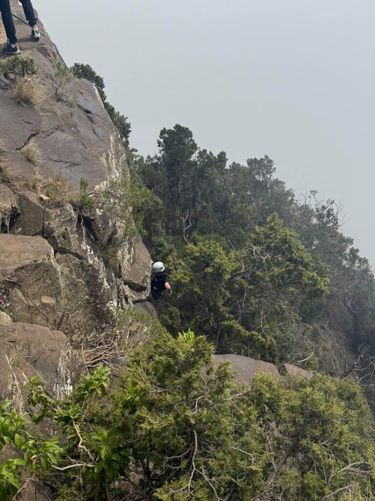 Rock climber ascending rugged mountain terrain with lush greenery and misty atmosphere.