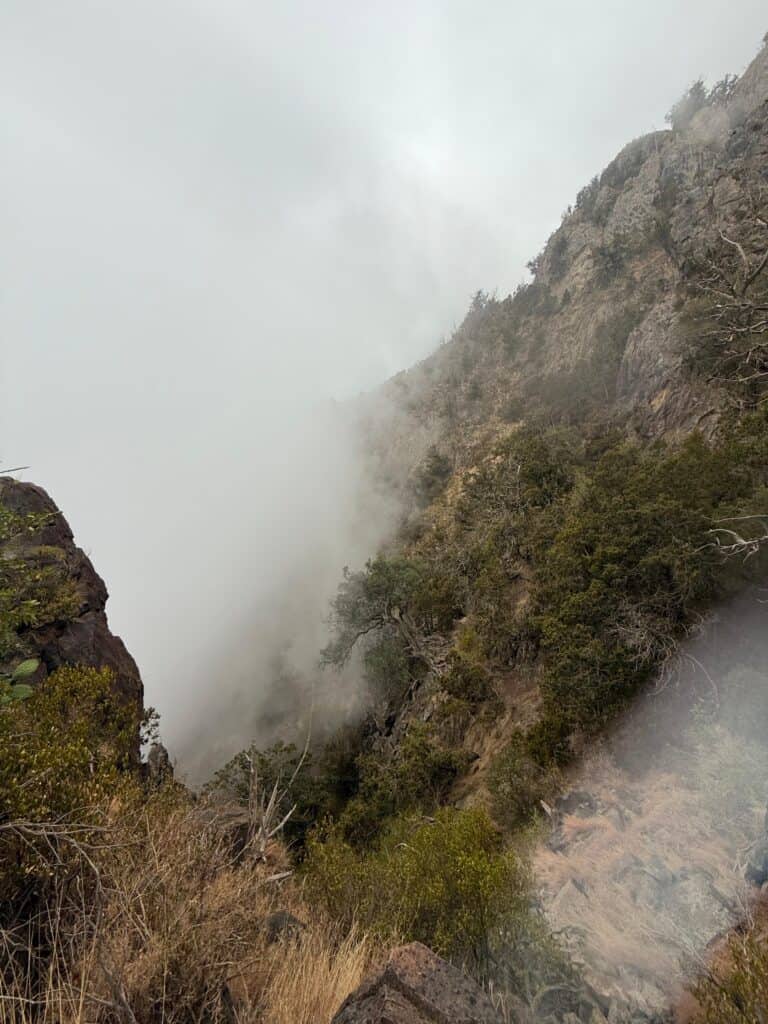 Misty mountain landscape with fog and rugged terrain in a natural setting.