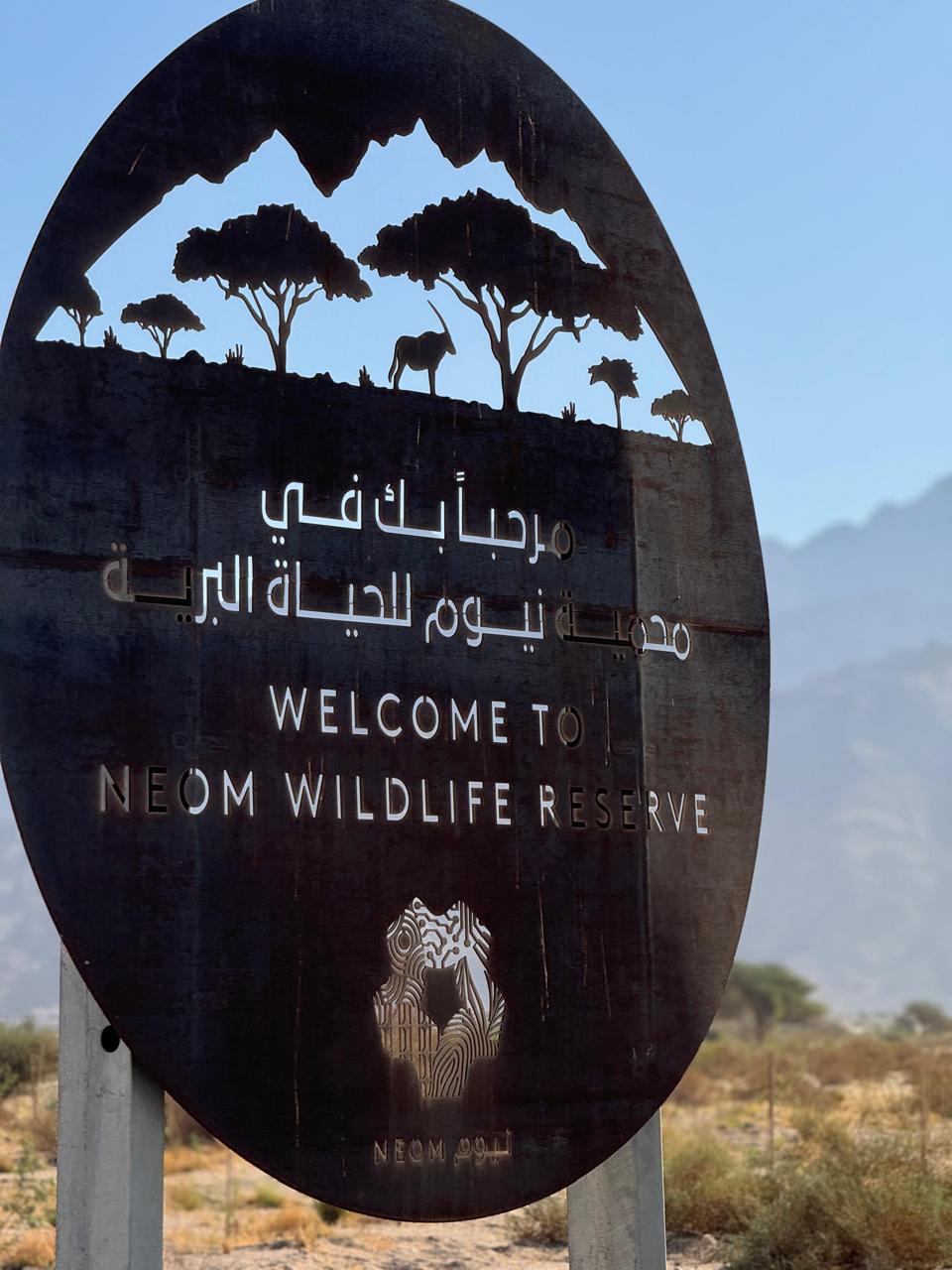 Children of NEOM employees taking part in an outdoor Pangaea adventure activity