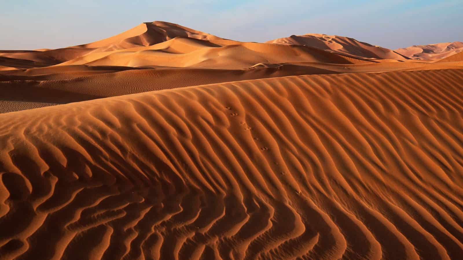 PANGAEA Camp Riyadh for businesses