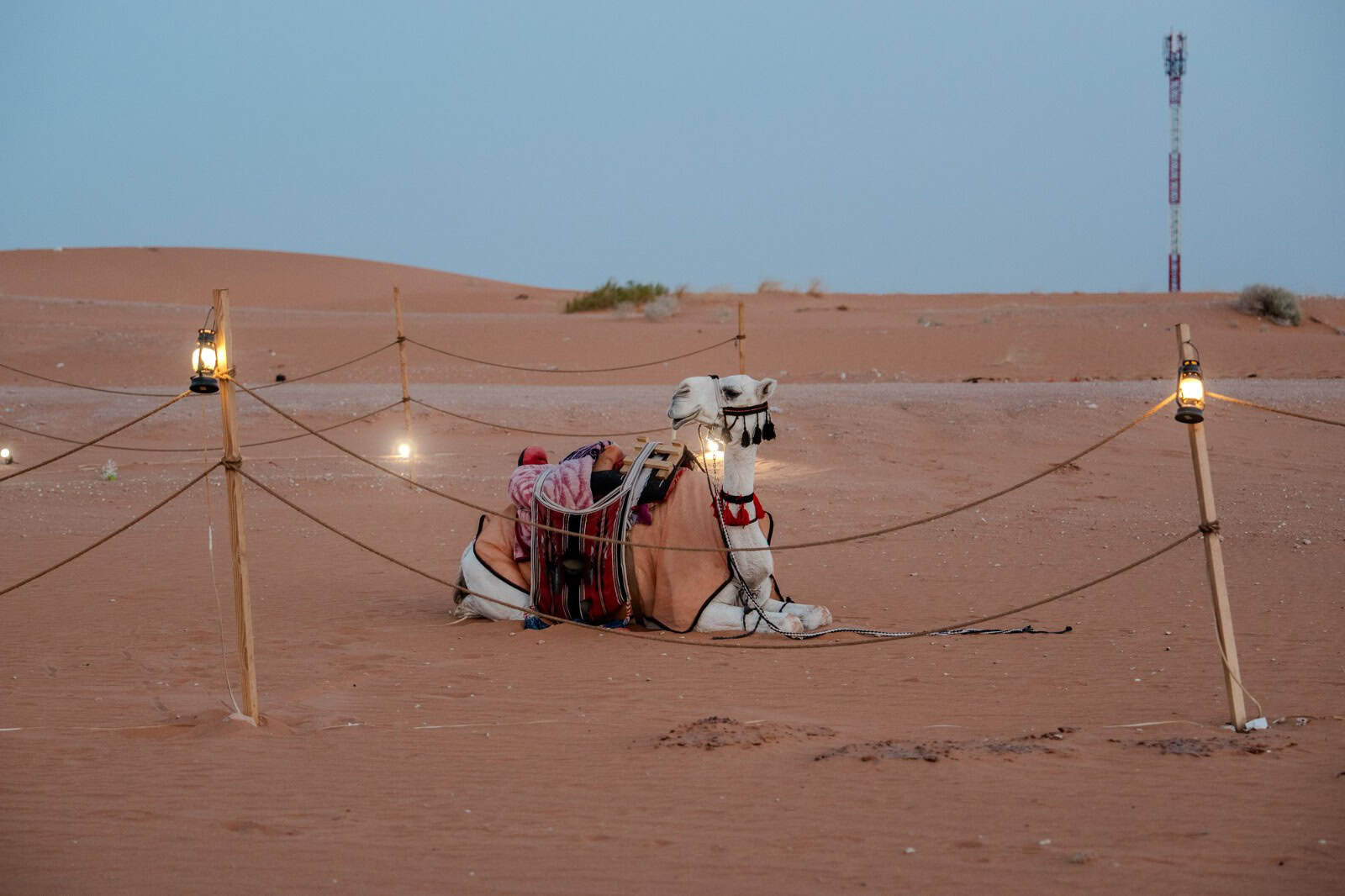 Pangaea Camp Riyadh