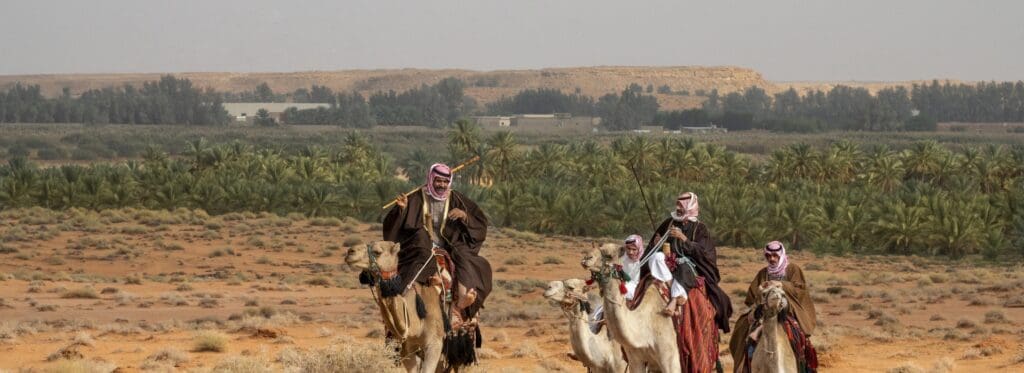 رحلة سفاري على ظهور الجمال
