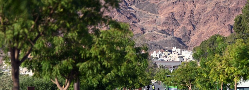 جولة تاريخية في المدينة المنورة